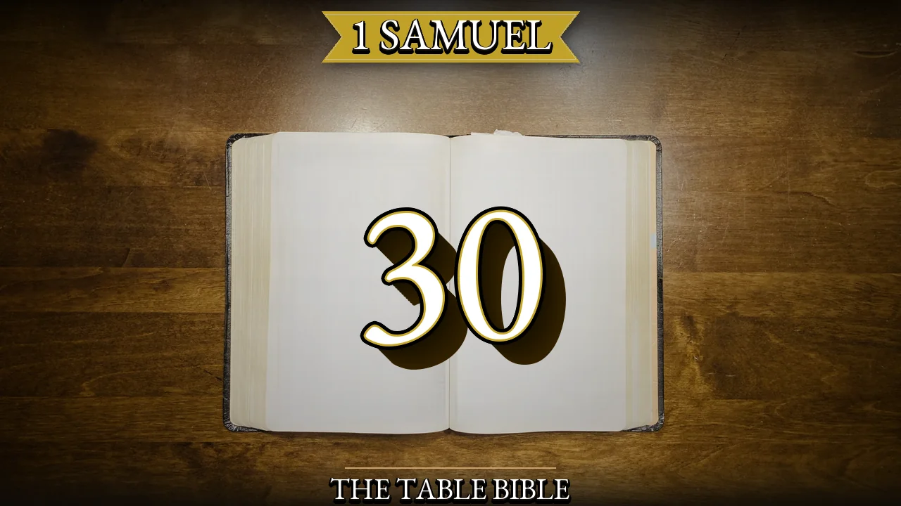 1 Samuel Chapter 30