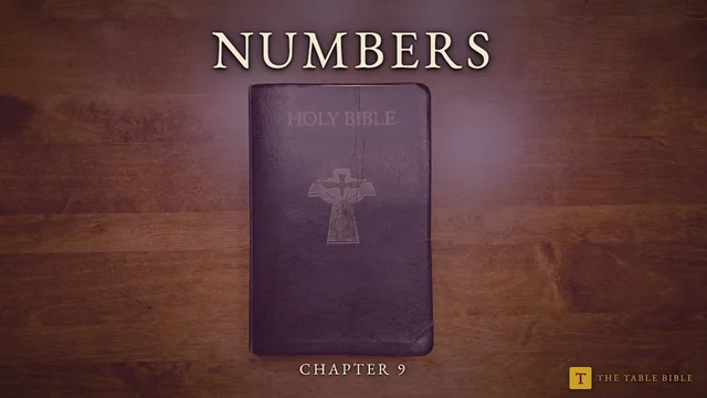 Numbers Chapter 9